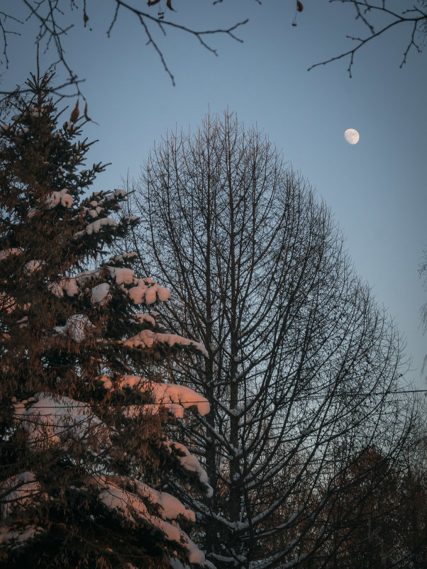 Луна и закат - Константин Кашин