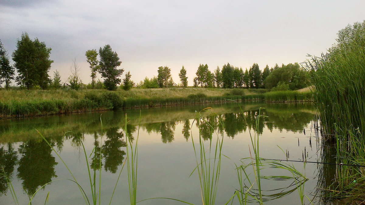 Зеленый пруд - Мария Богуславская