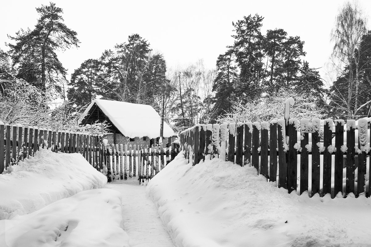 После снегопада - Диана Задворкина
