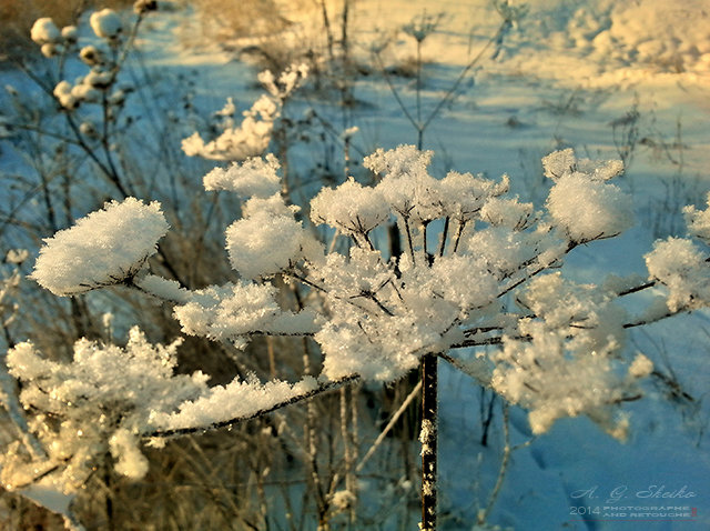 Зимний, солнечный денёк... - Андрей Шейко