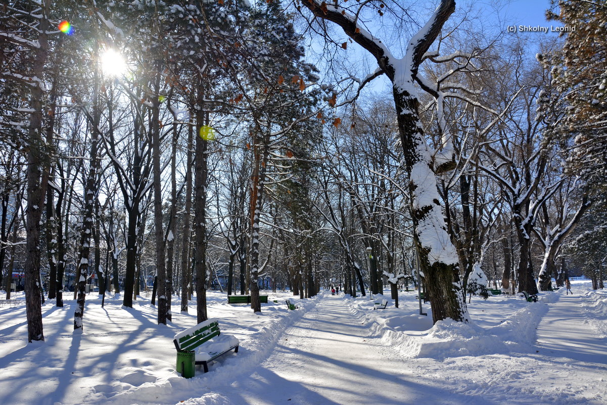 Кафедральный Парк, Кишинёв 1.02.2014 г. - Леонид Школьный