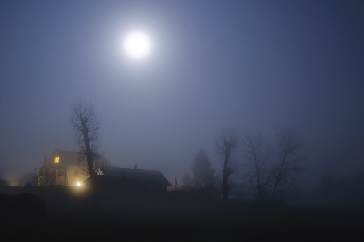 Лунная туманная ночь - Roman Globa