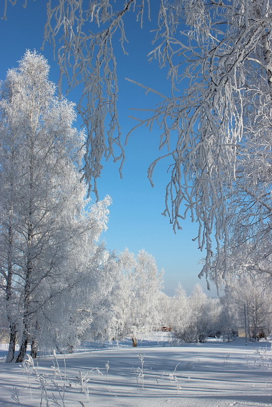 *** - Наталья Юрова