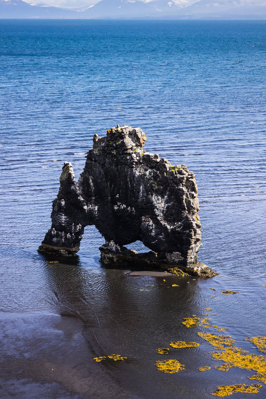 Хвитсеркур (Hvitserkur) - каменный мамонт Исландии - Вячеслав Ковригин