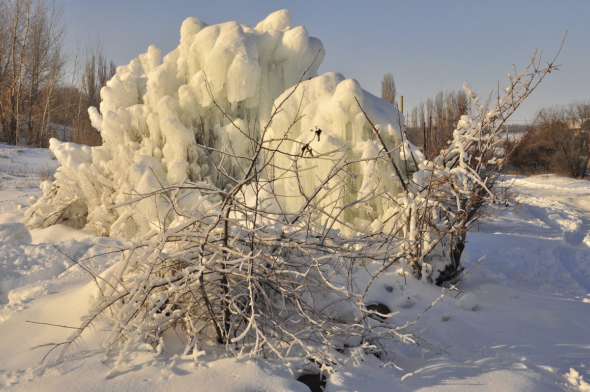 Ледяное дерево. - Олег Сахнов