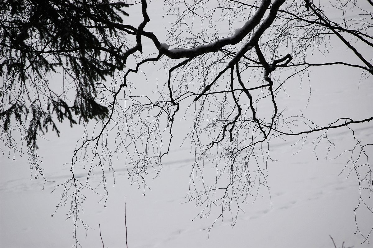 Зимний пейзаж - Натали V
