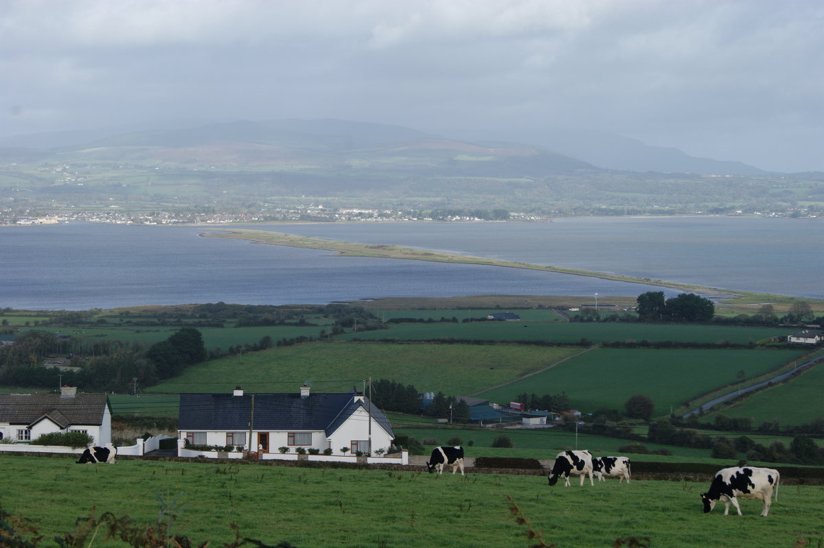 Dungarvan, Co Meath, Ireland - Galina Maca 