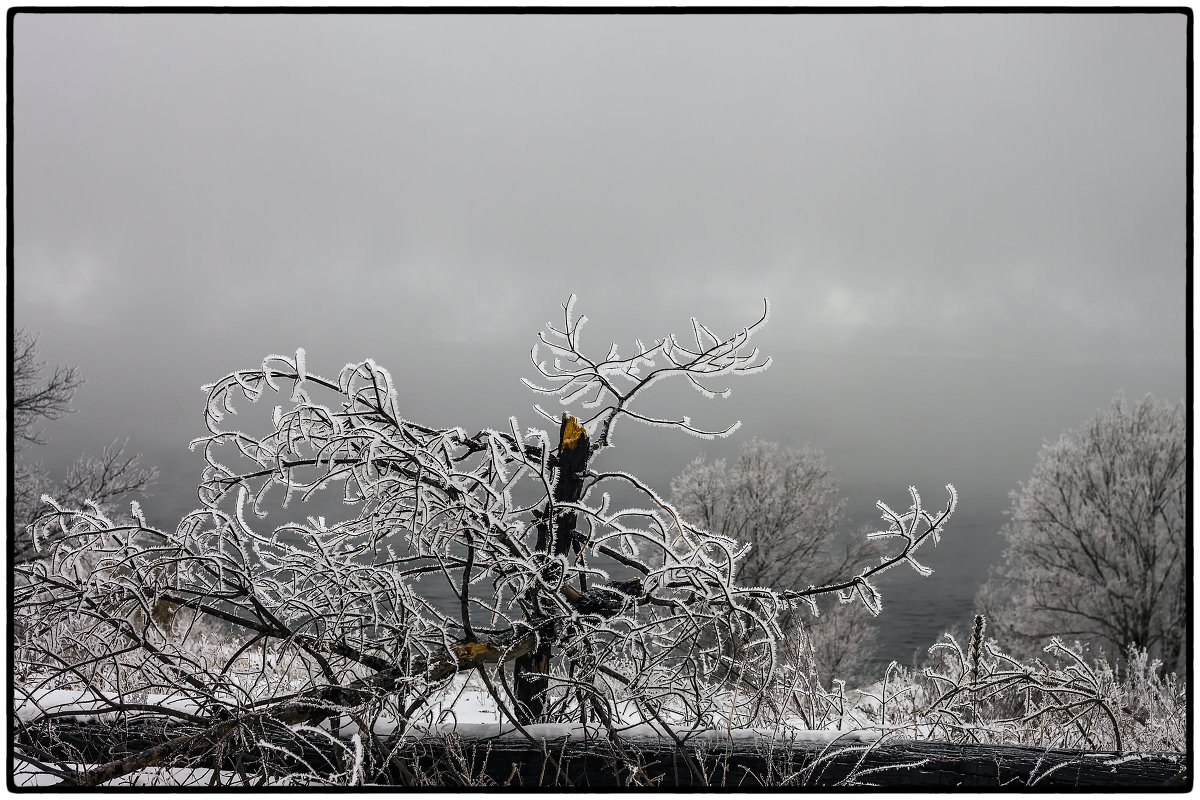 Трещал мороз, деревья пали, туман стелился над водой...... - Юрий Клишин