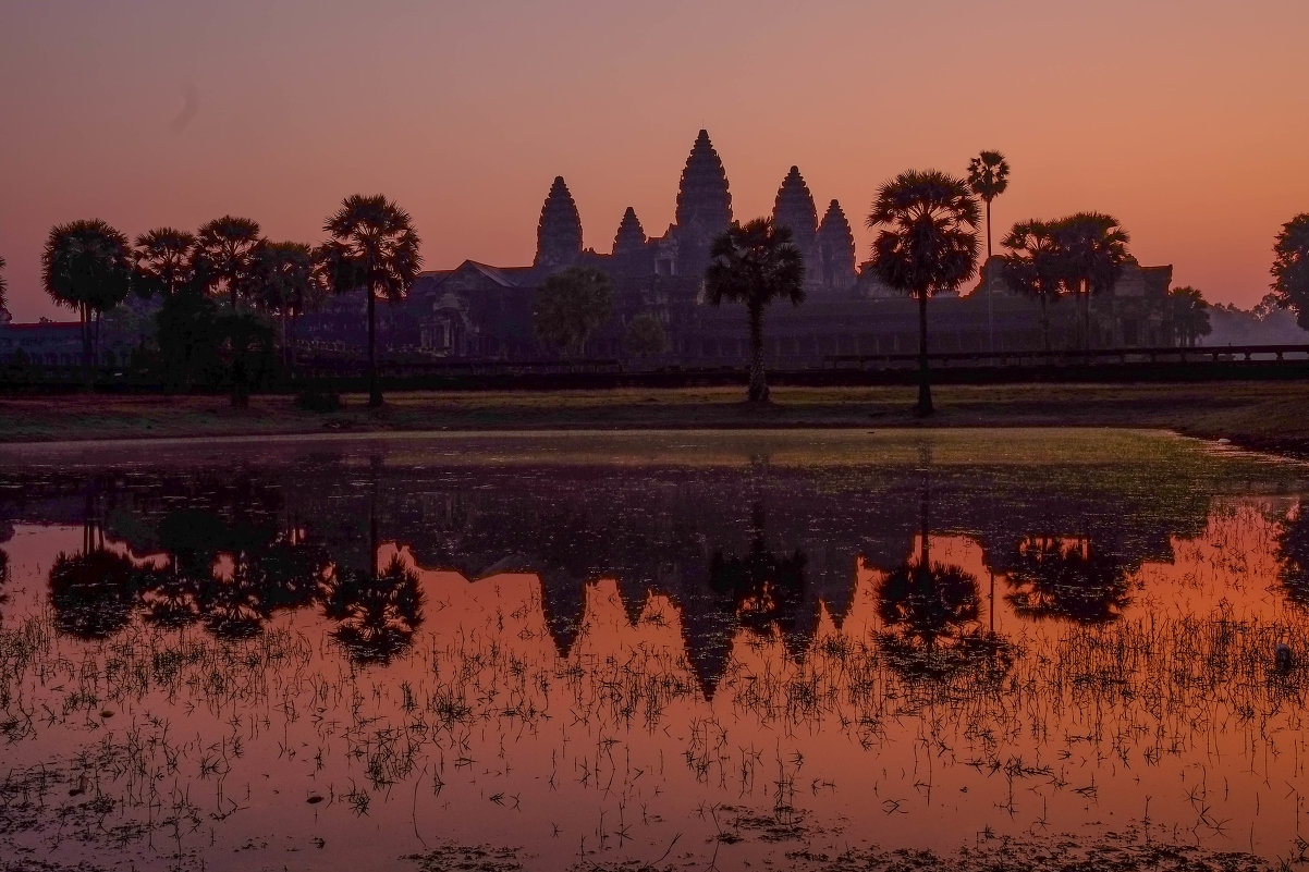 Sunrise at Angkor Wat - Nick K