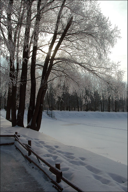 Зимой в ЦПКО *** Winter in the park - Александр Борисов