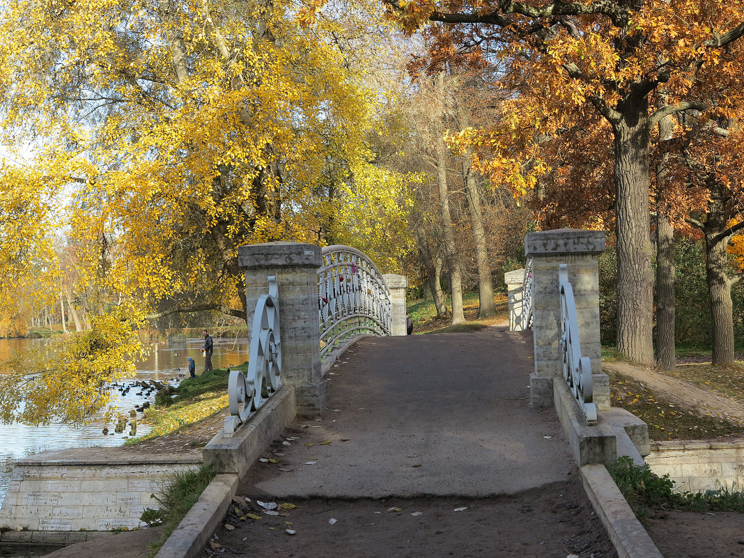 осень в Гатчине - Наталья 