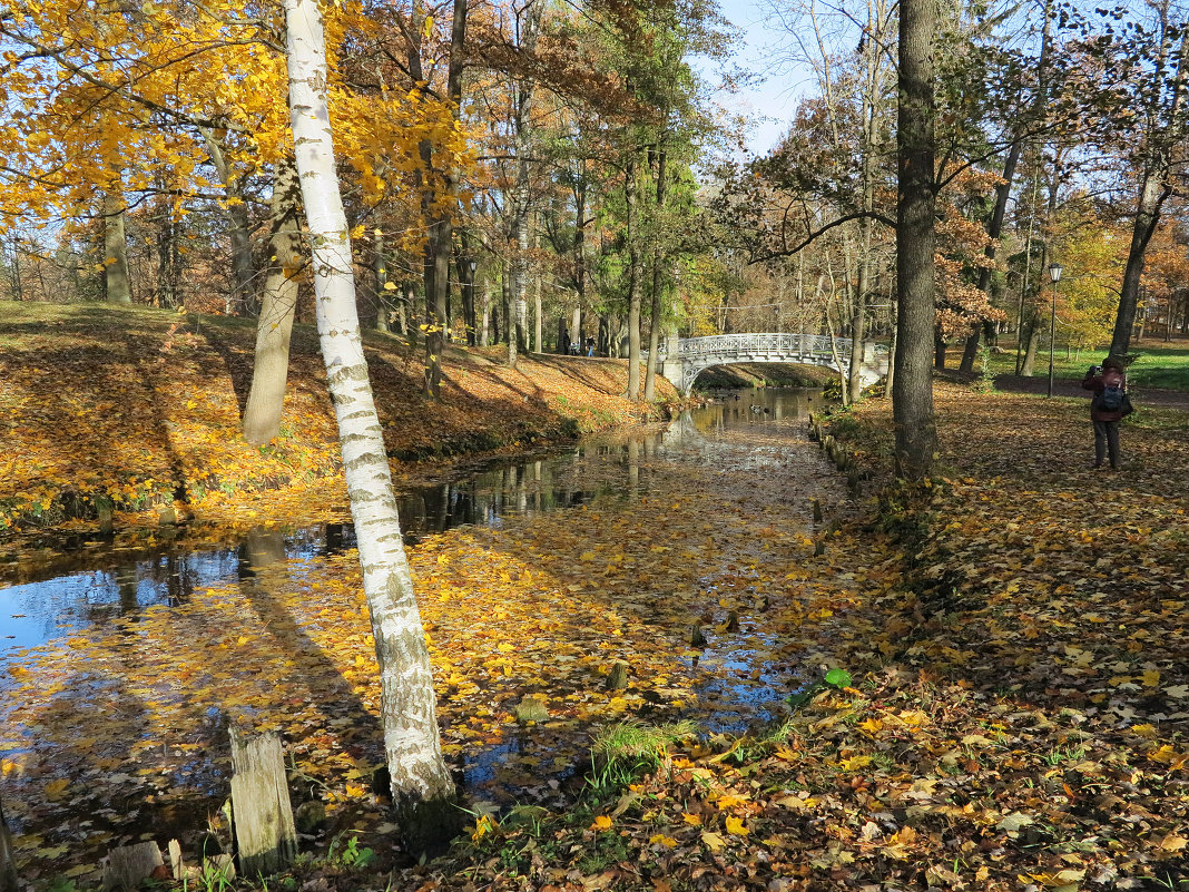 осень в Гатчине - Наталья 