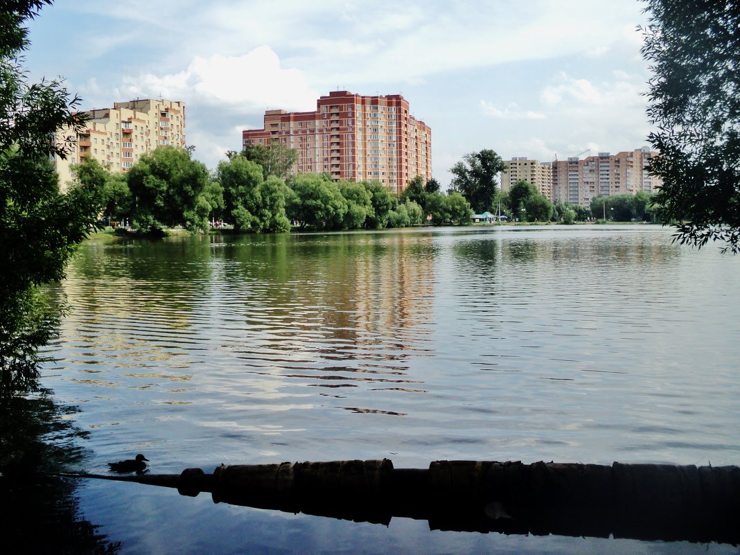 Ложка дёгтя в бочке с мёдом... - Ольга Кривых