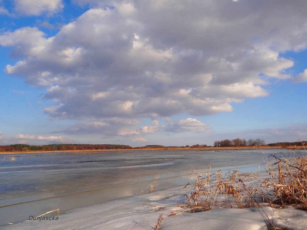 Февральский пейзаж. Зима, лёд на поле... - Антонина Гугаева