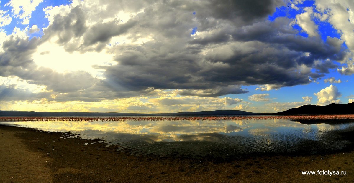Озеро Накуру. Фламинго. - fototysa _