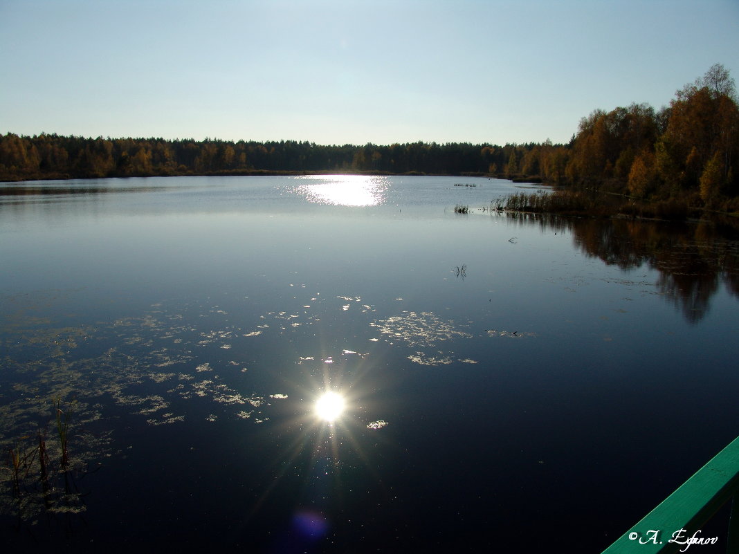 Солнце в озере - Александр Ефанов
