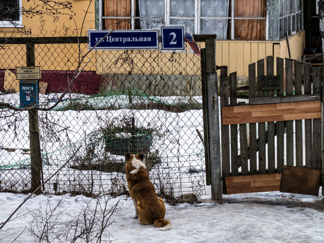 Пришел,называется в гости.. - Алексей Сараев