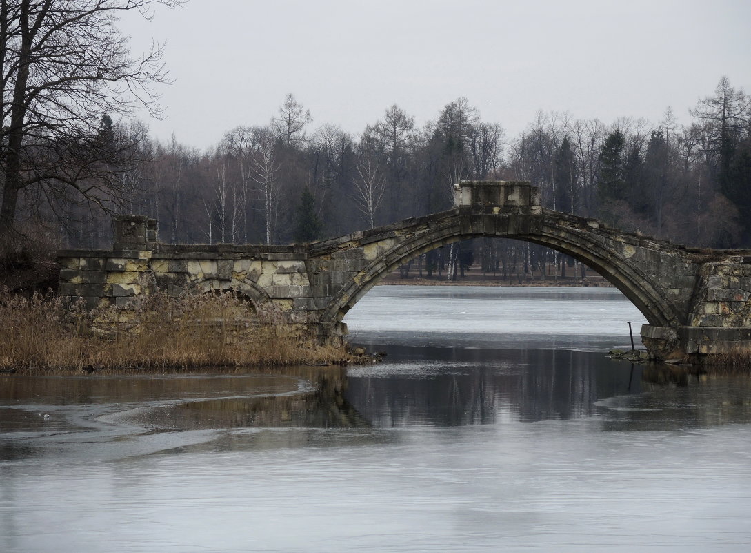 В старом сердце весна - sv.kaschuk 