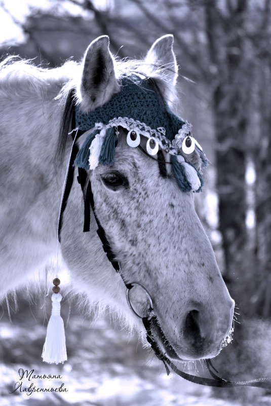 Ярмарочный конь - Татьяна 