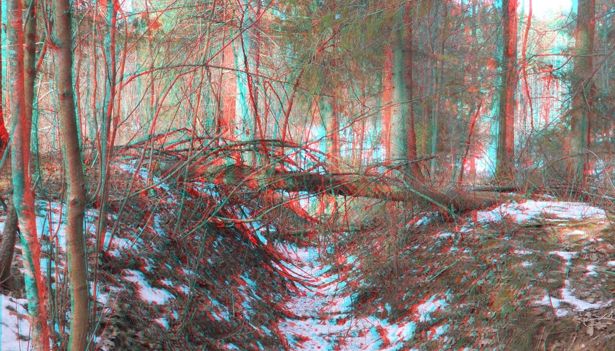Овраг в лесу (3D) - Анатолий Антонов