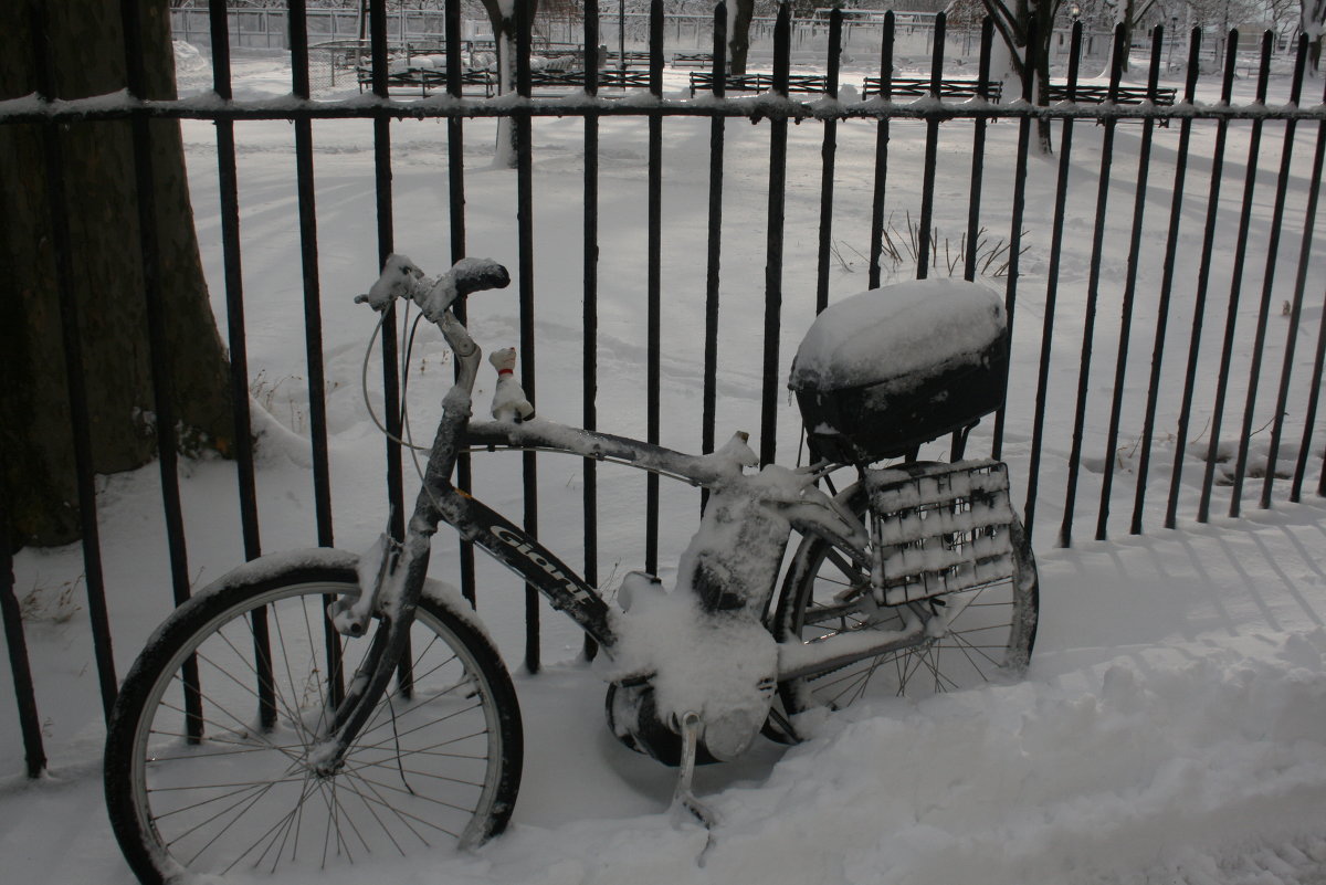 Зима в Нью-Йорке - Борис Талис 