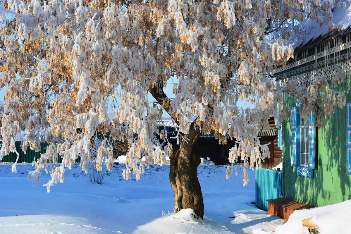 Последний зимний день - Геннадий Ячменев