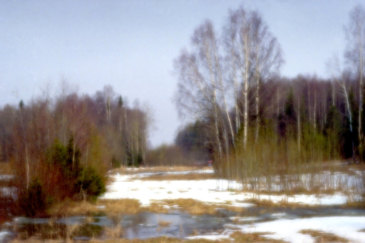 Весна в лесу - Валерий Талашов