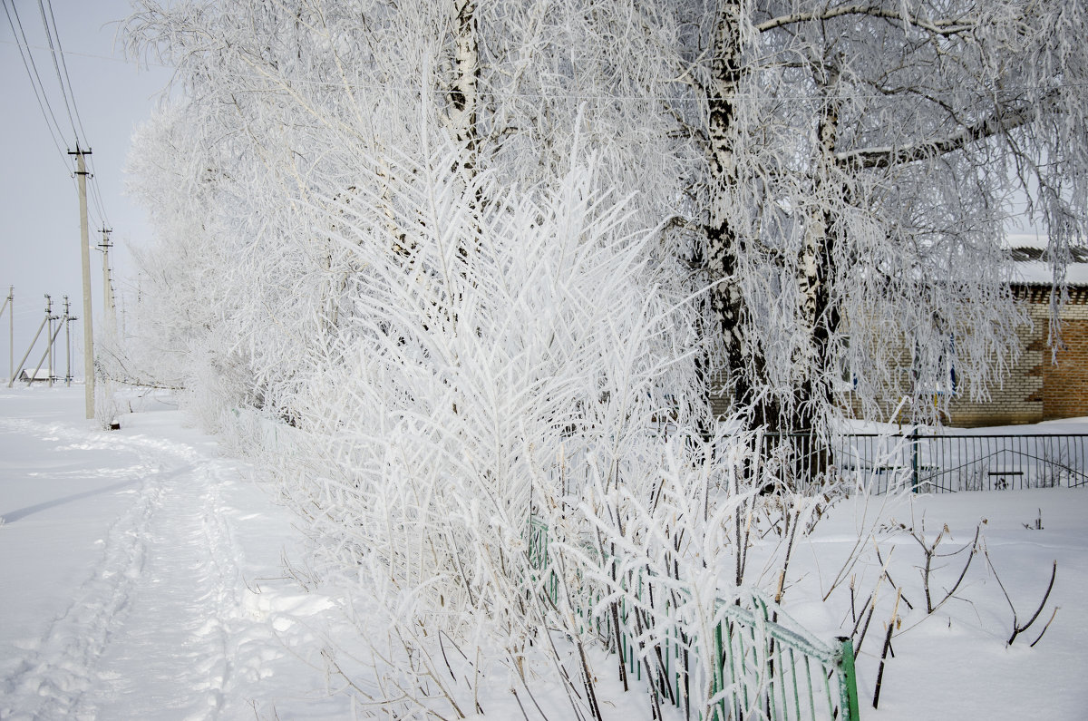 Причуды зимы - Татьяна Титова
