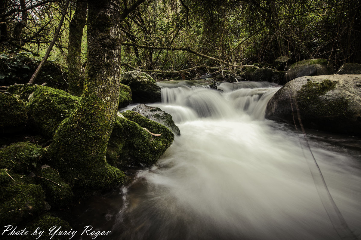 Mourao river - Yuriy Rogov