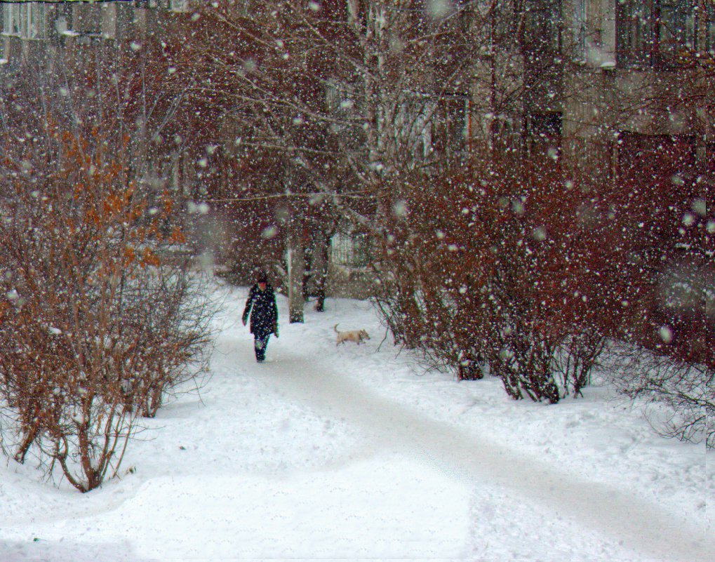 Снег идет - Аркадий Пазовский