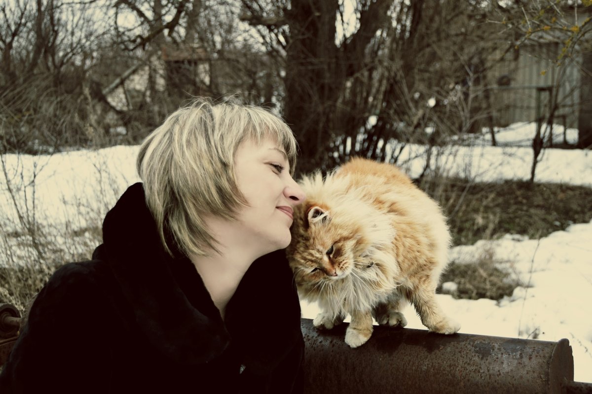 девушка и кот - Олечка Зайцева