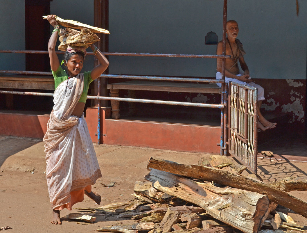 Индия. Женщина заготавливает дрова для домашнего очага - Владимир Шибинский