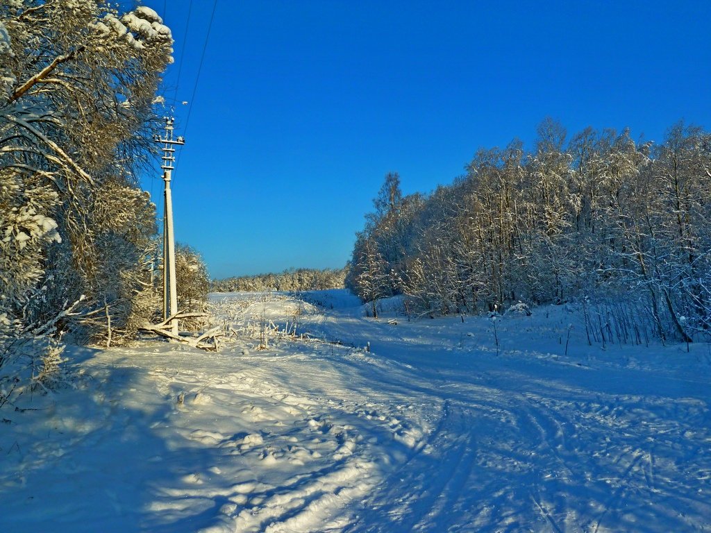 ДОРОГА НА РОДНИК - Виктор Осипчук