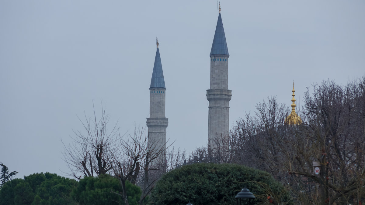Стамбул в январе - Александр Тверской