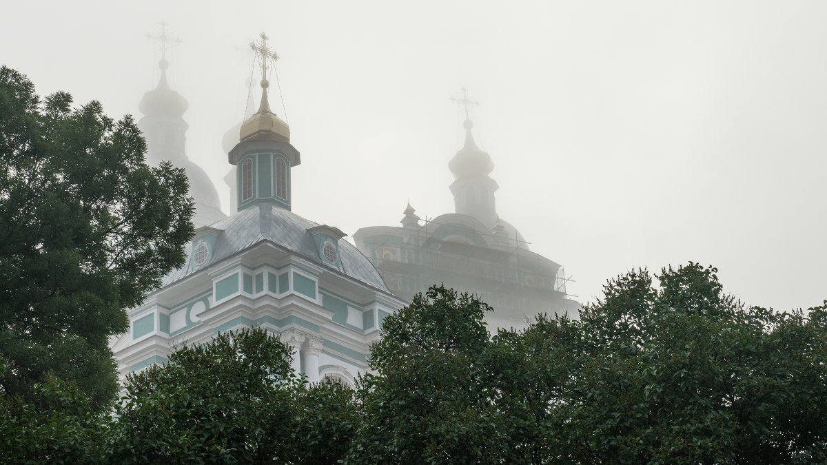 В тумане - Олег Козлов