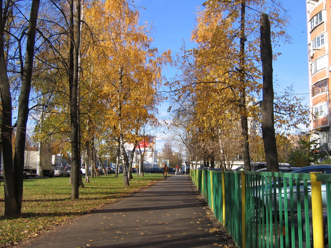 Спальный район Москвы - Владимир  Зотов 