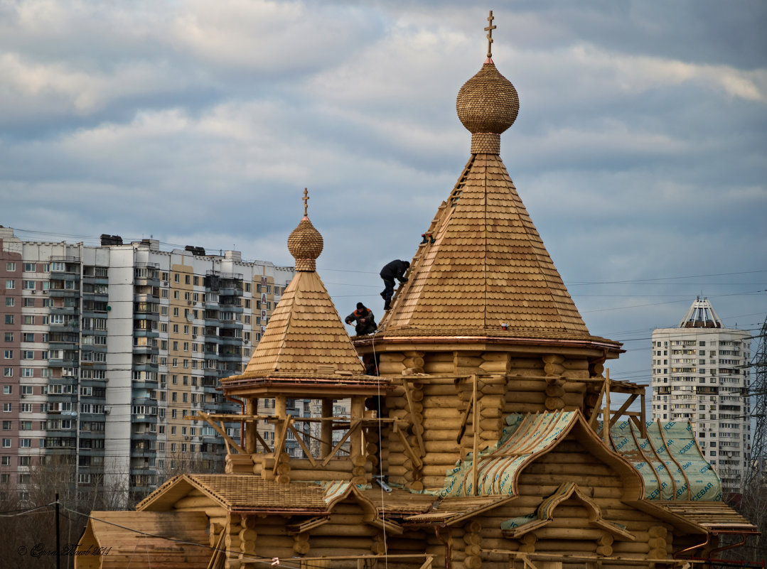 *** - Сергей Басов