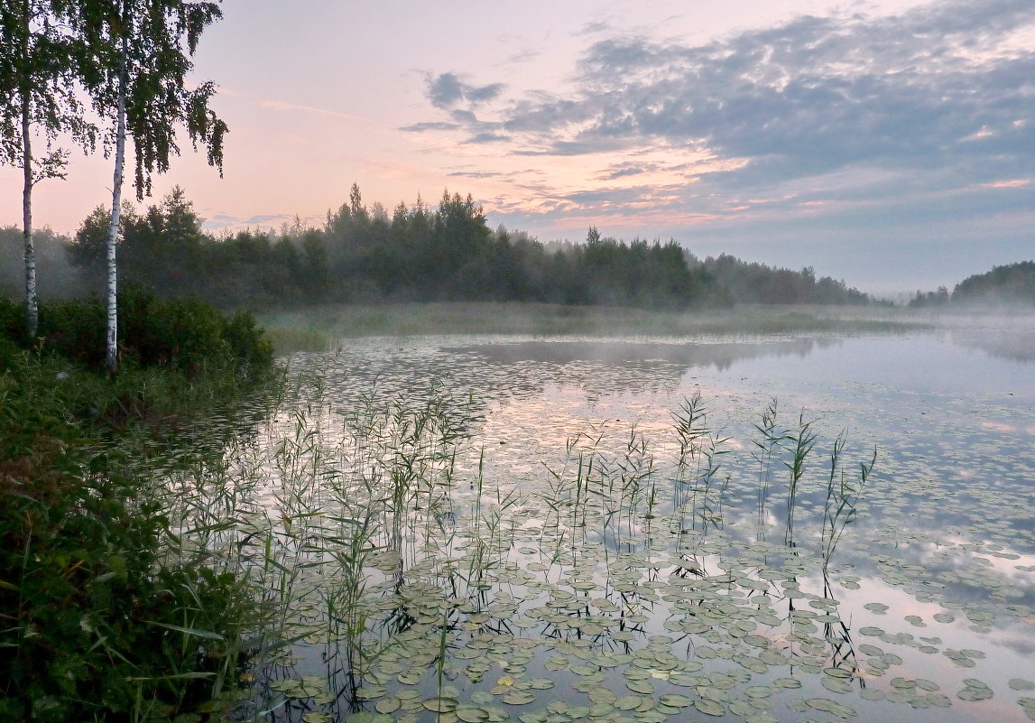 Утро на Даниковском озере - Валерий Талашов