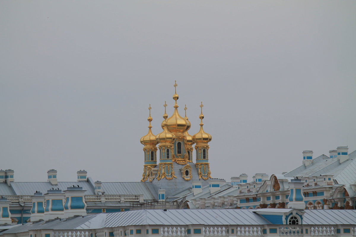 Купола церкви Екатерининского дворца - Елена 