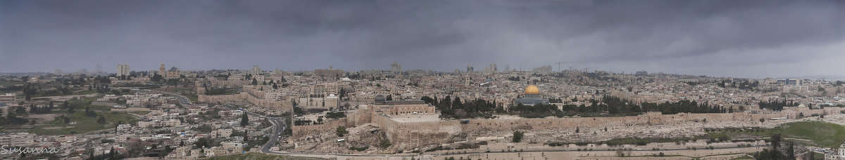Панорама Иерусалима под дождем - susanna vasershtein