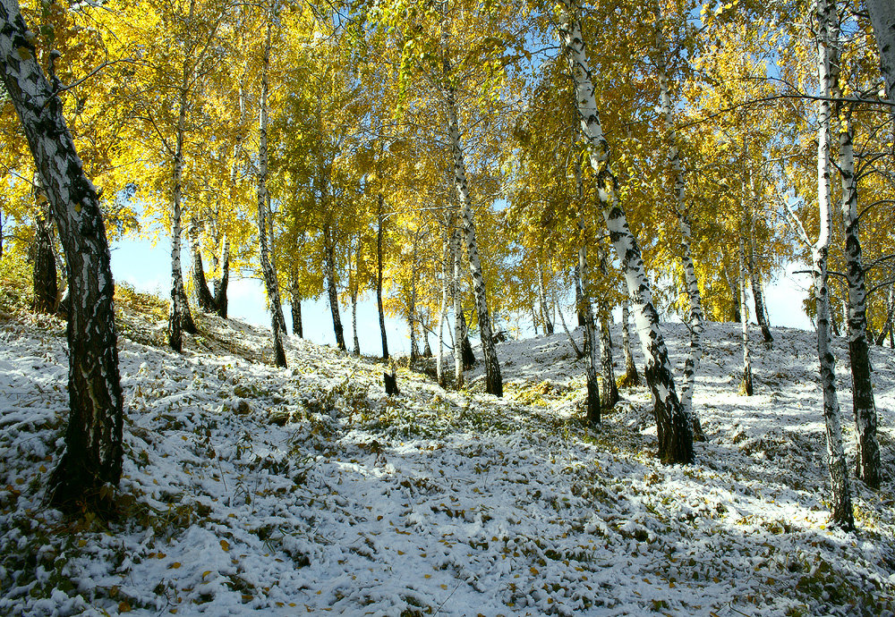 *** - Николай Морский 