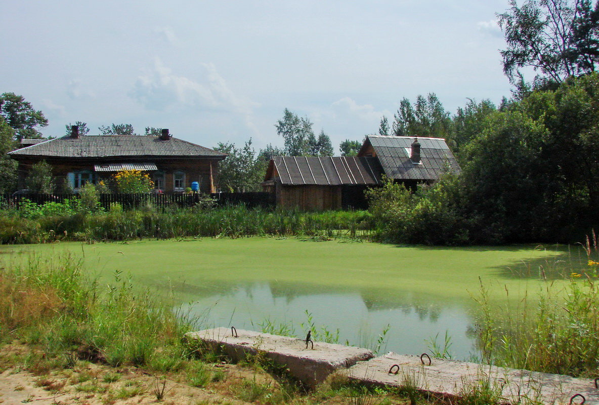 Пруд в деревне Погорелка - Марина Морозова