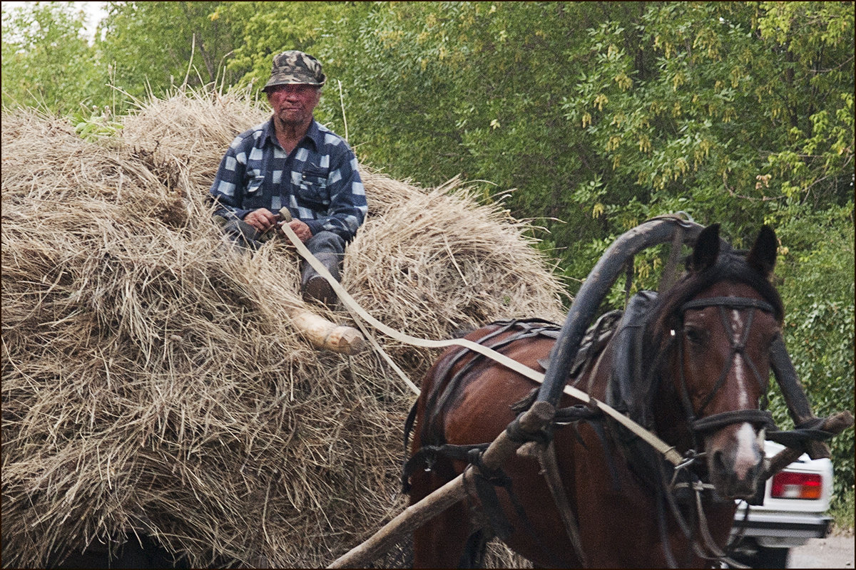 *** - Александр Рязанов