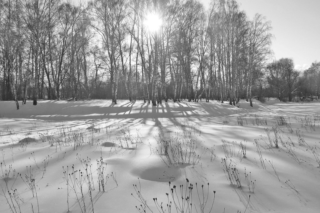 Зимний пейзаж - Сергей Яснов