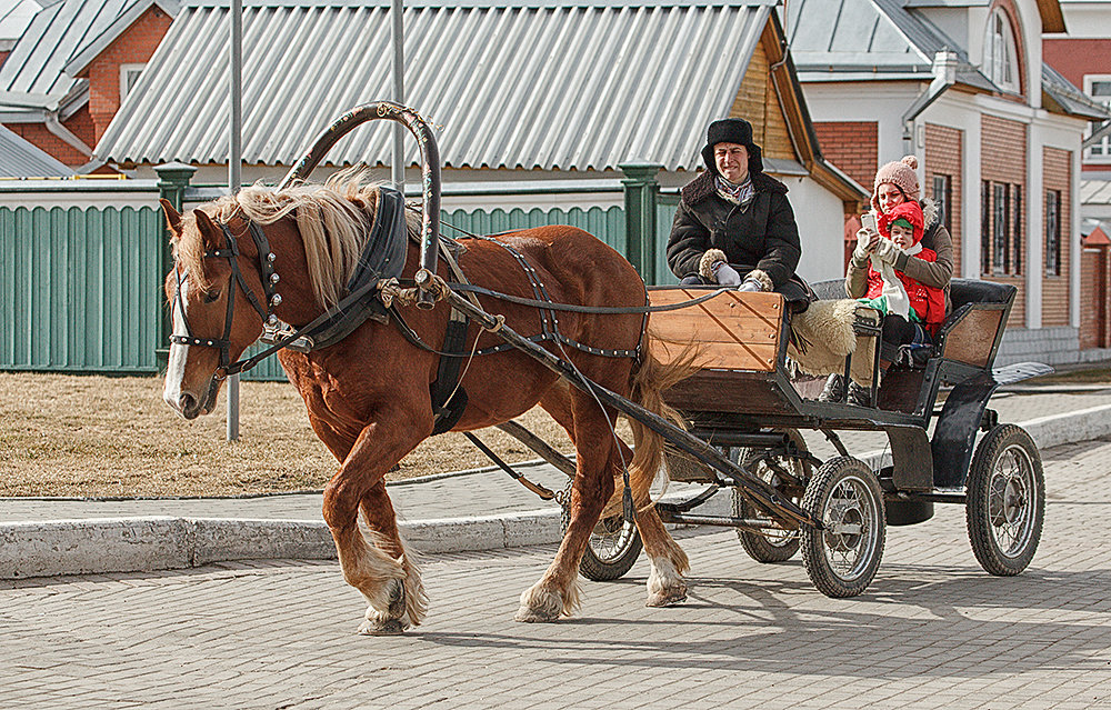 городское такси... - Сергей Серый