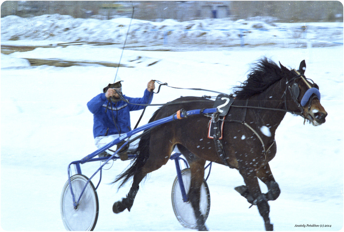 Открытие зимнего бегового сезона 2014 - Anatoly Petukhov 