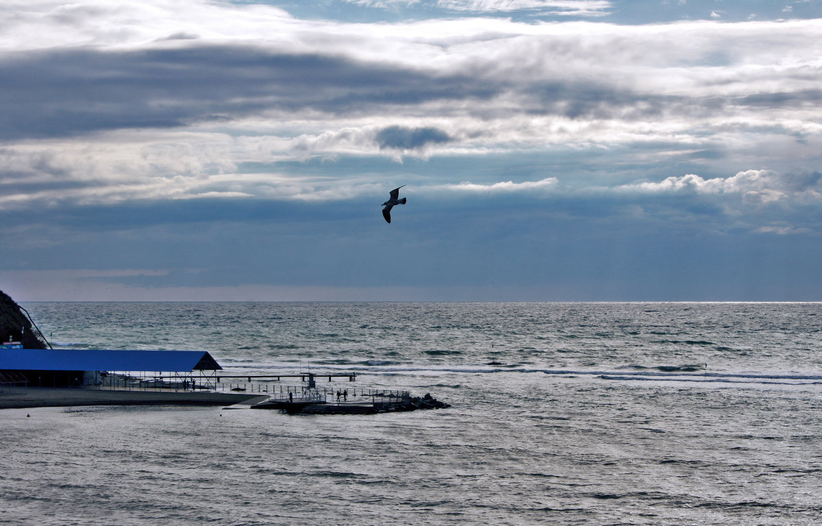 Анапа, Черное море...После шторма - Виктор Скайбери