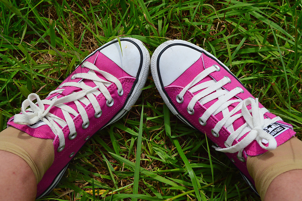 Zapatillas rosadas) - Екатерина Т.
