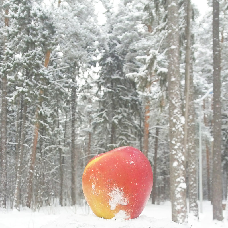 Apple - Максим 