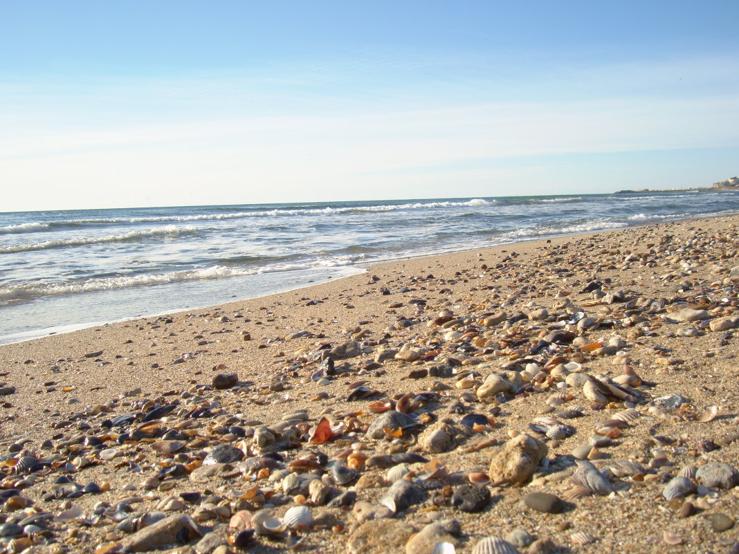 пляж - александра стаднюк
